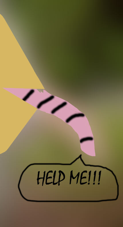 blurbird.jpg