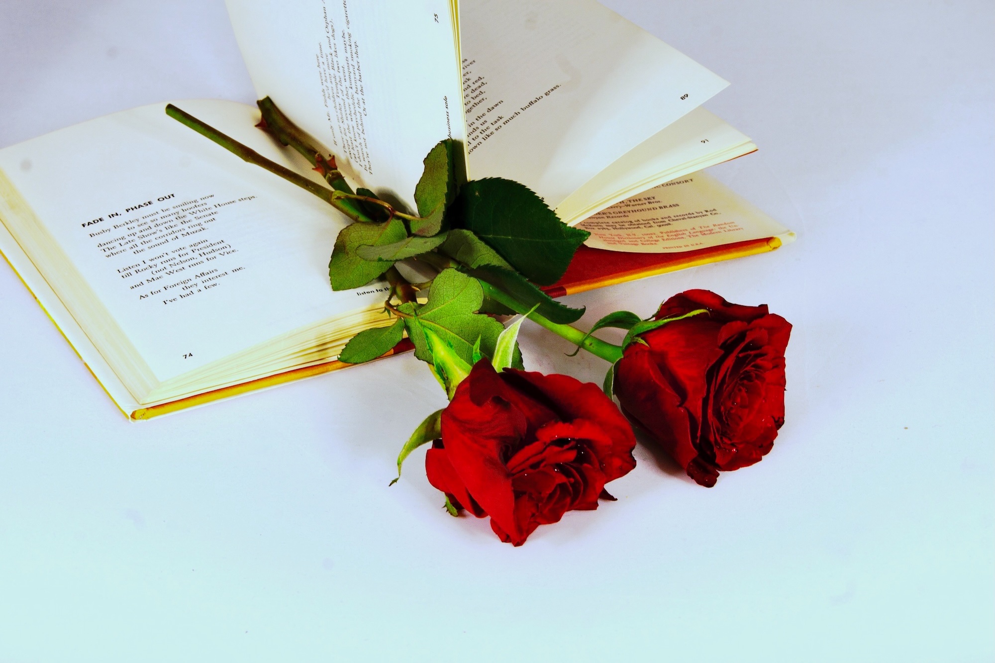 bookroses - 1.jpeg
