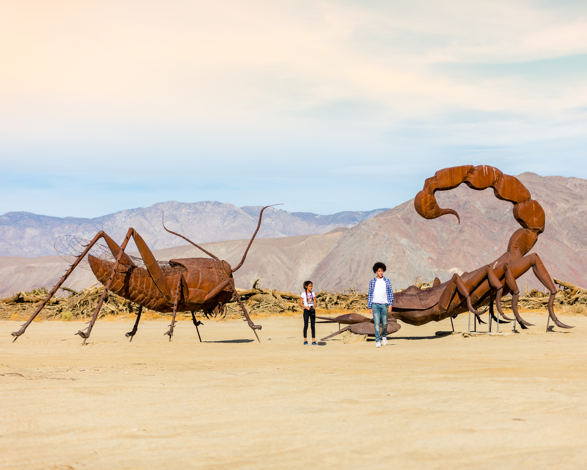 Borrego Scorpion-1-2.jpg