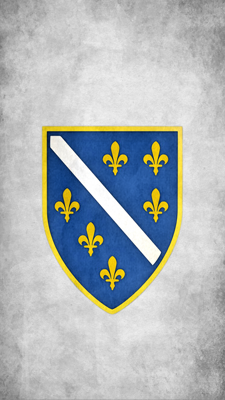 Bosnia Herzegovina.png