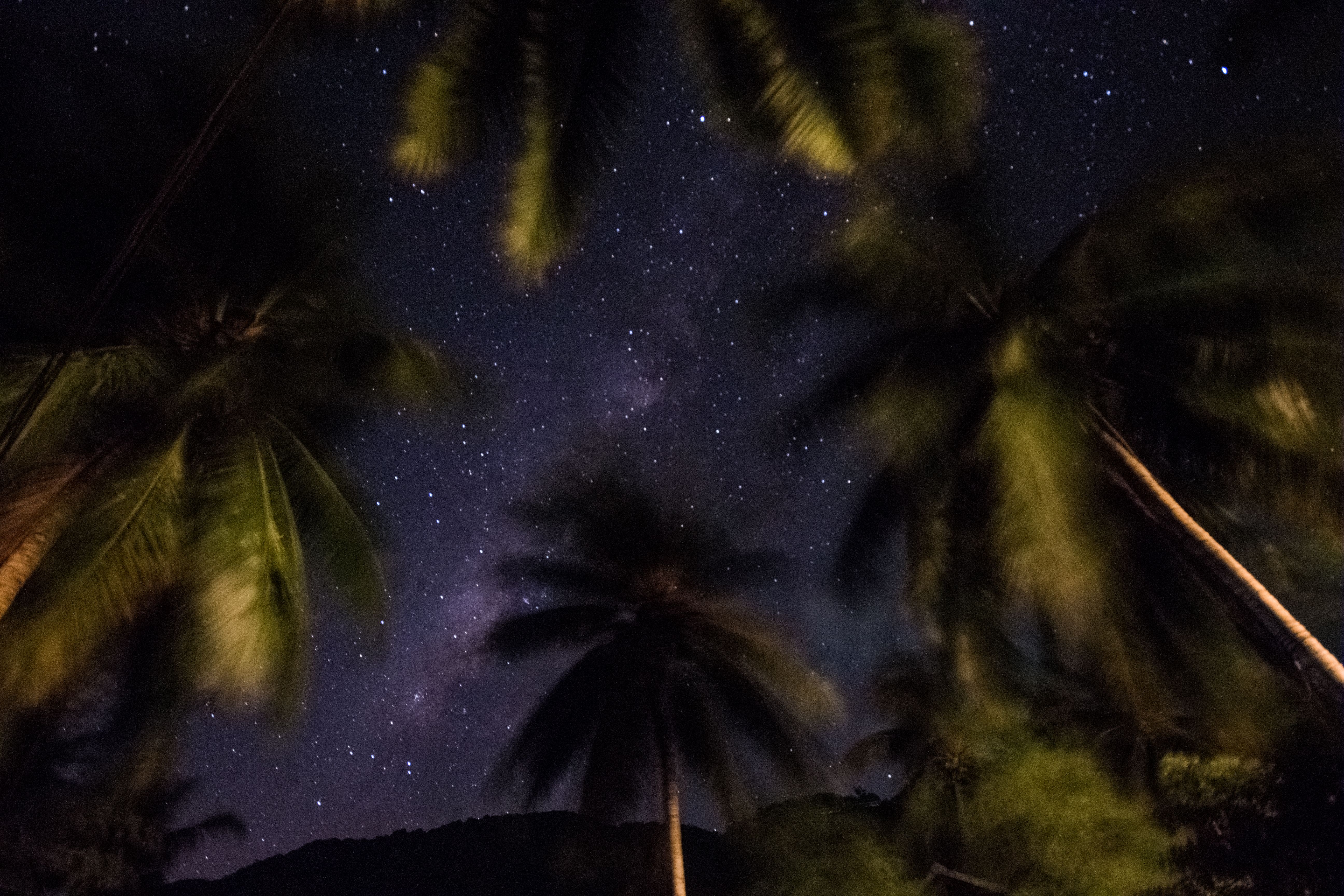 Bottle Beach Night-13.jpg