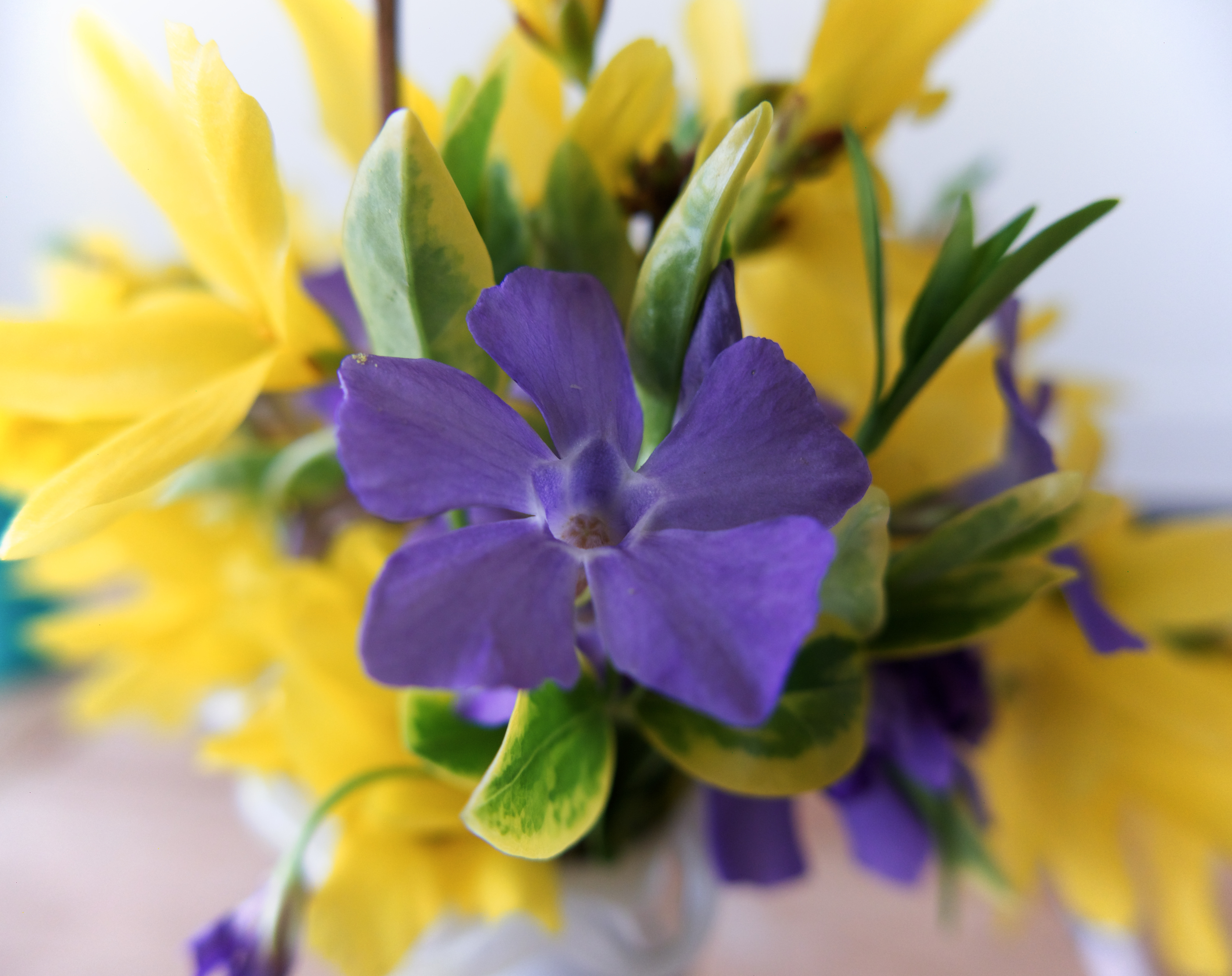 bouquet.jpg