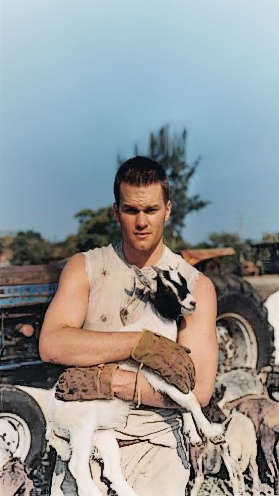 Brady Goat 02.jpg