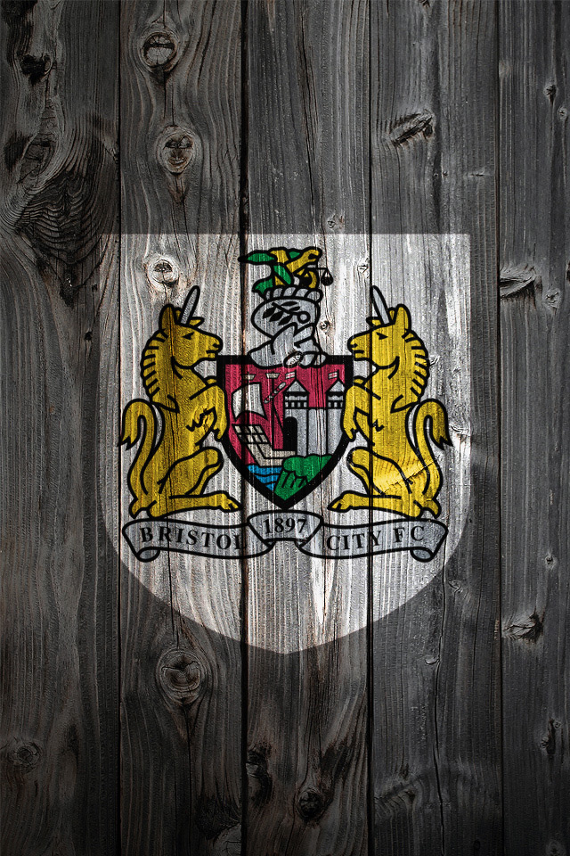 bristol_city_wood.jpg