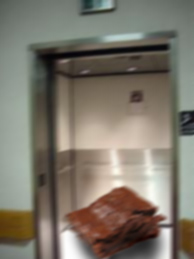 brownie_elevator.jpg