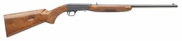 Browning Semi Auto 22.jpg