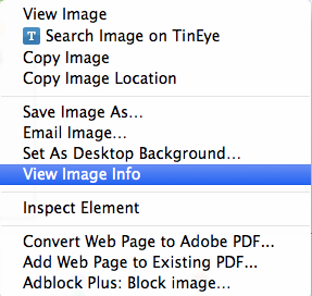 browser.png