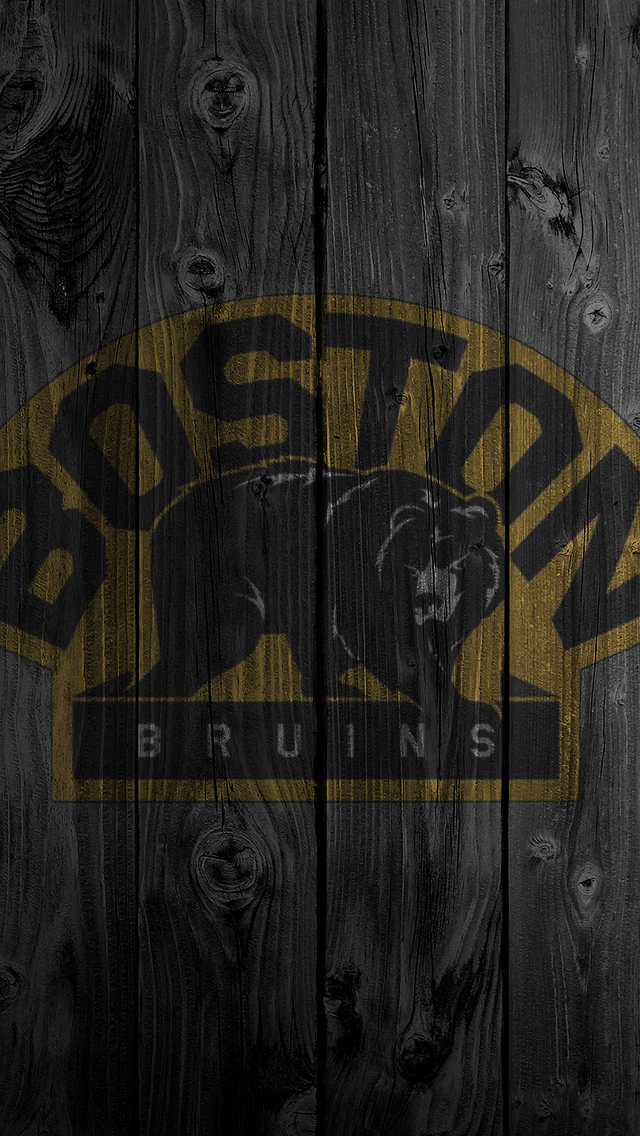 bruins.jpg