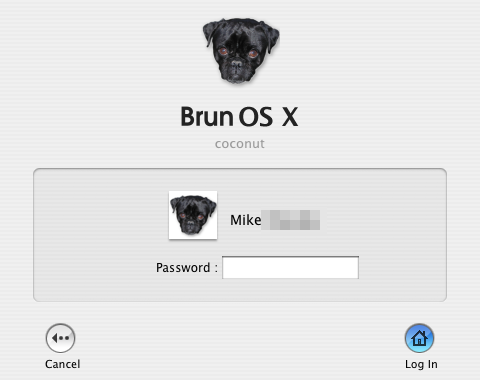 BrunoLogin.png