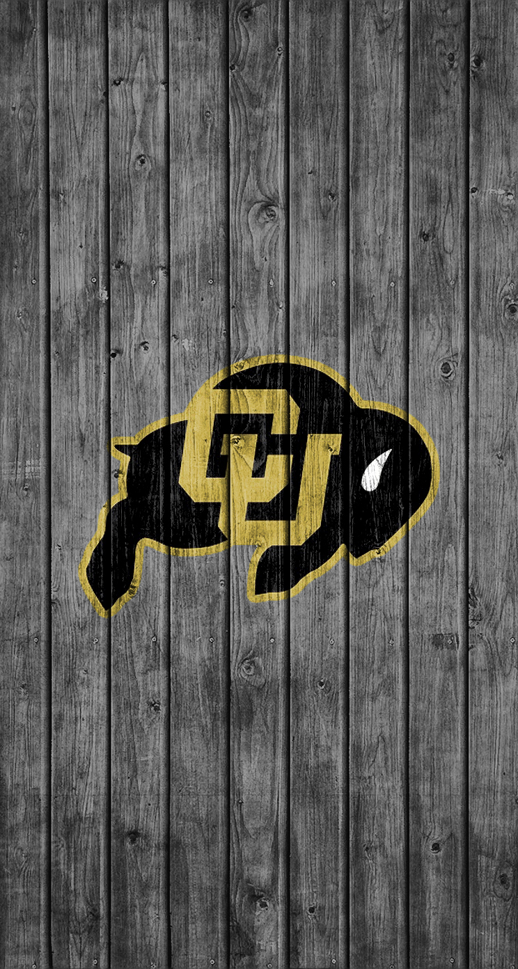 Buffaloes 01.jpg