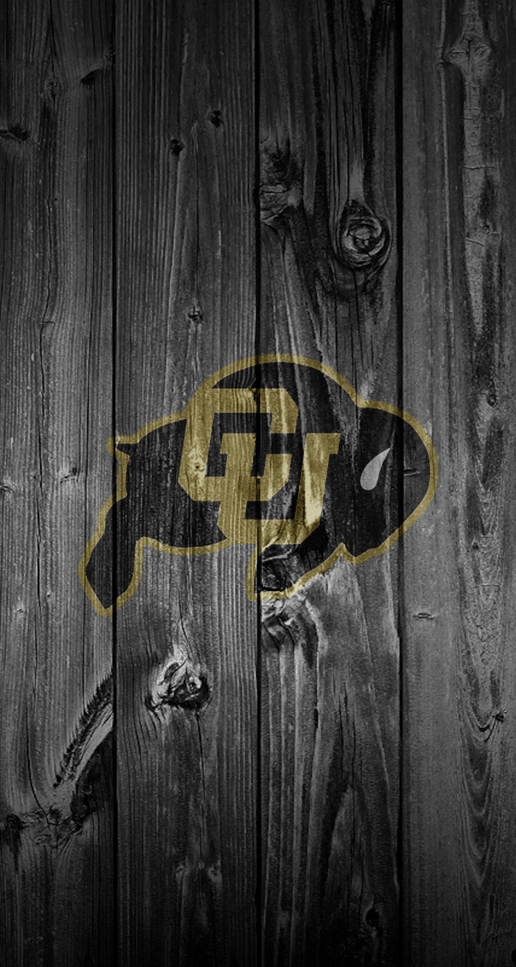 Buffaloes 02.jpg