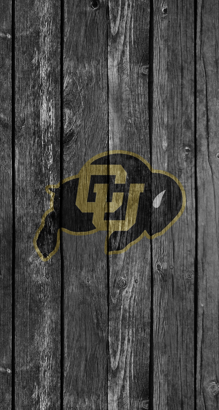 Buffaloes 03.jpg