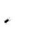 bugzzgif.gif