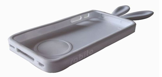bunny case.jpg