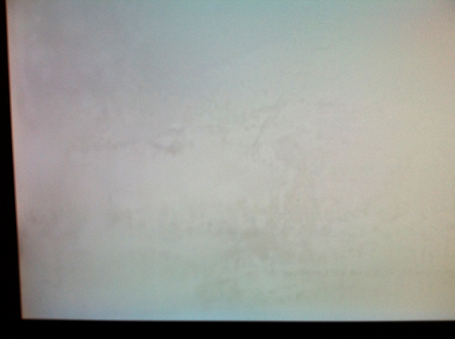 BURN-IN-FULLSCREEN-WHITE.jpg