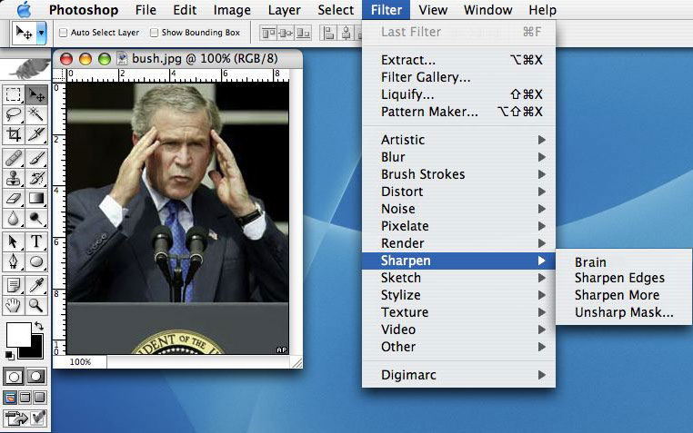 bush.jpg