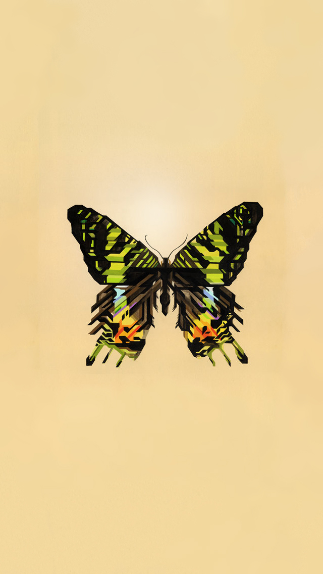 Butterfly.jpg