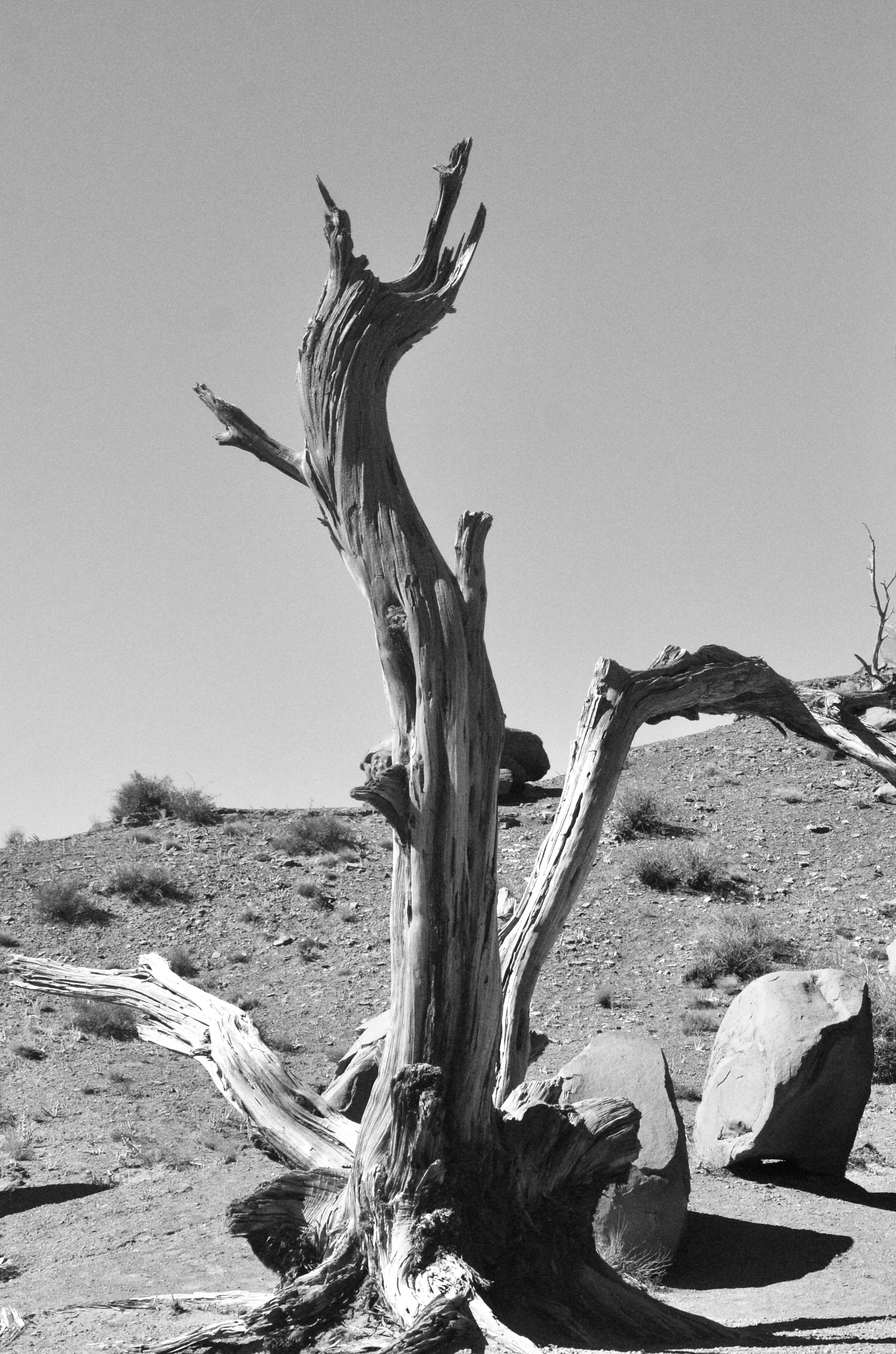 BW_5005.JPG