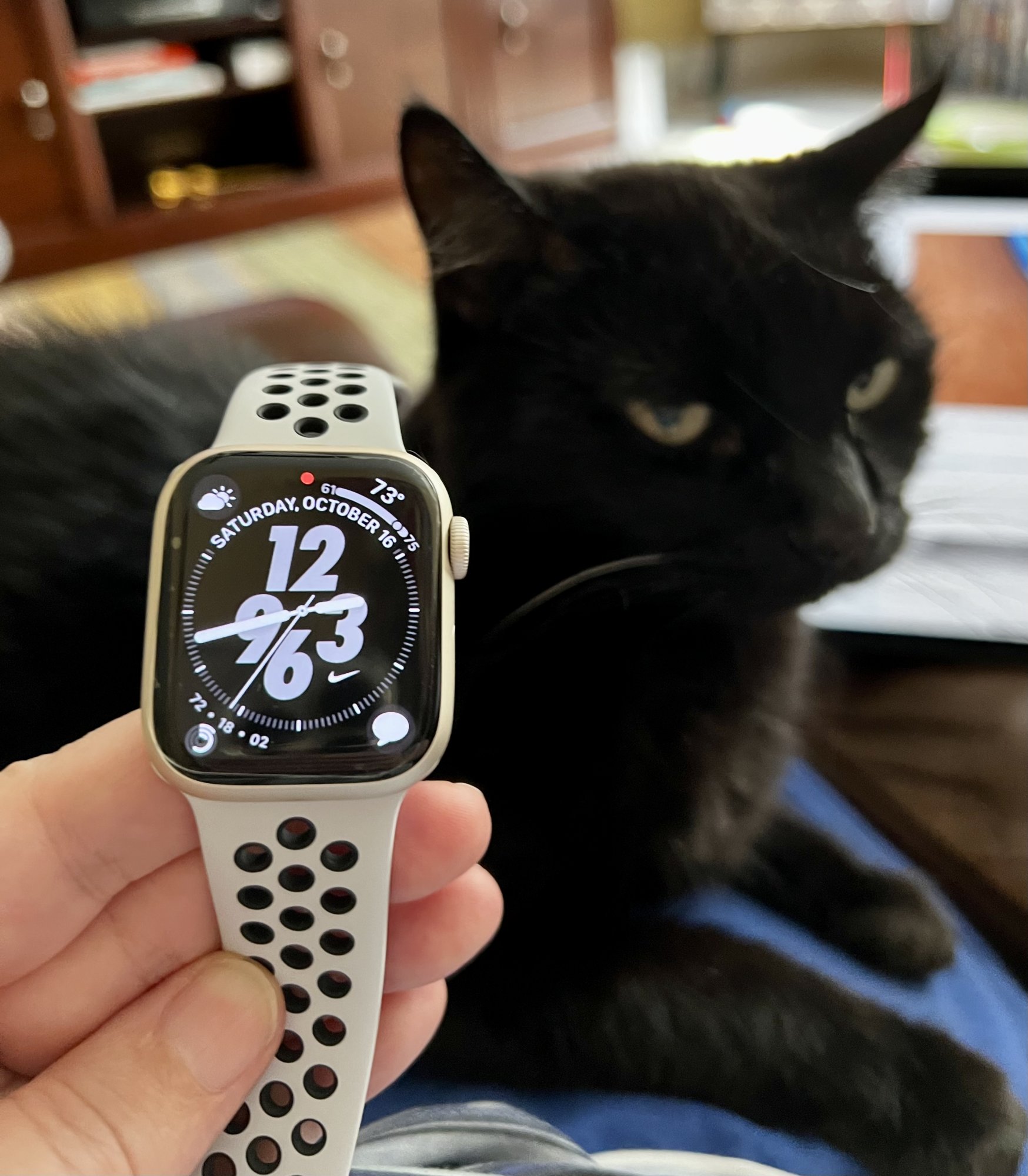C445D6E3-AC10-4349-BFB0-E3B69F0FA029.jpeg