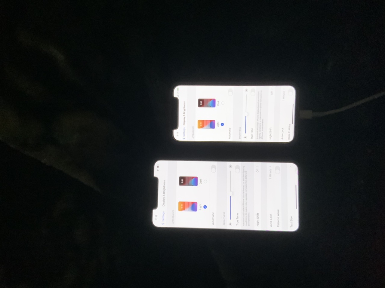 C5DA503B-7CB7-48C2-B9C9-8DBDF0E4DC52.jpeg