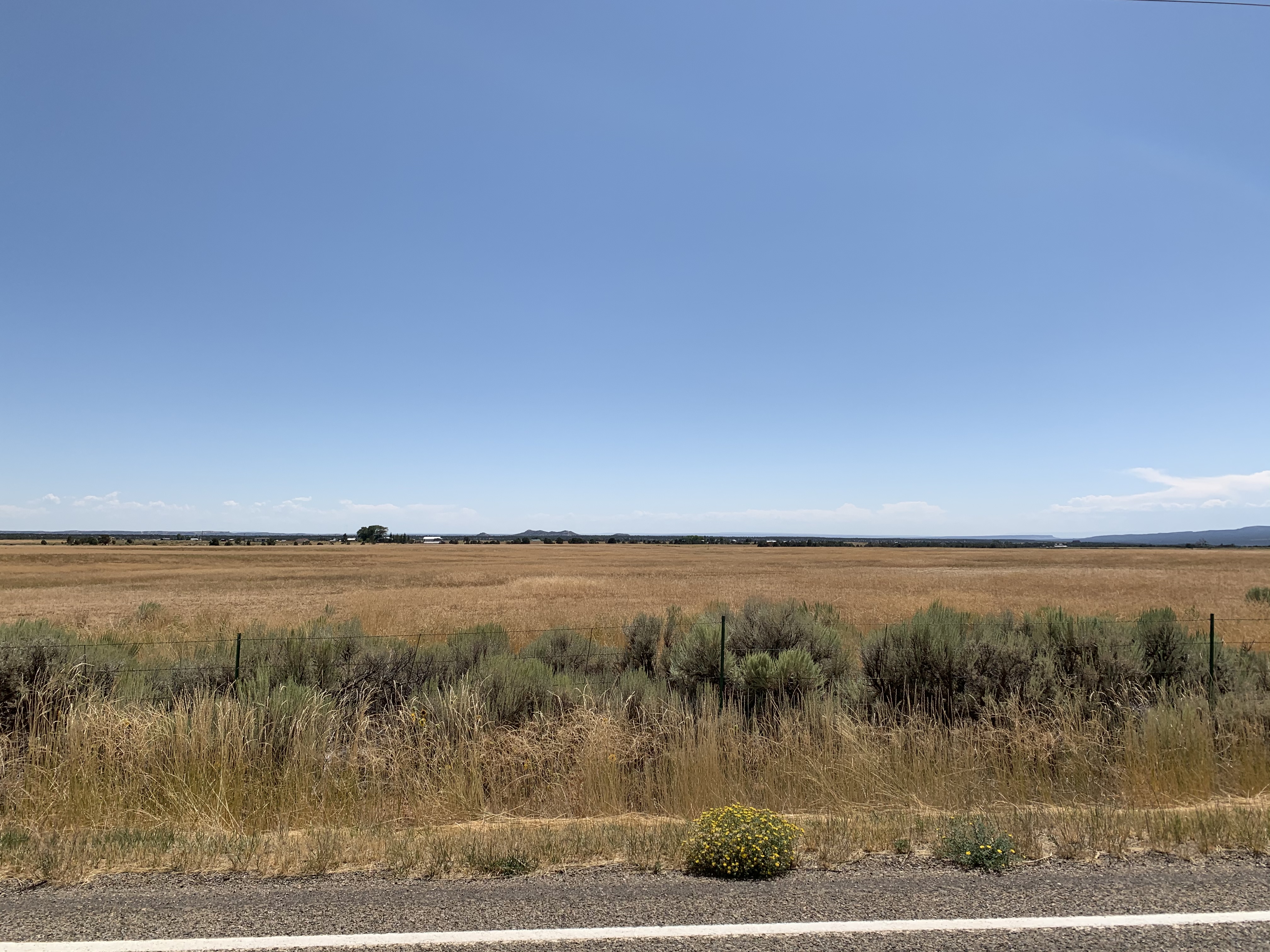C9387257-4C66-4680-B78C-D921367CA58E.jpeg