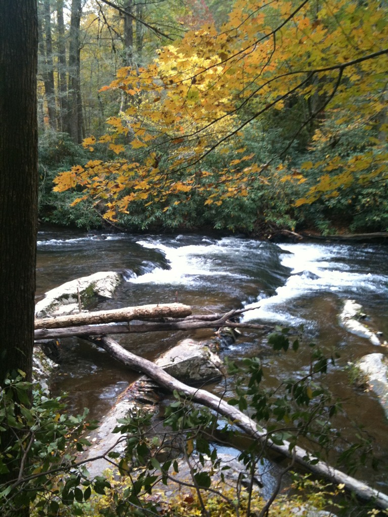Cades Cove.jpg