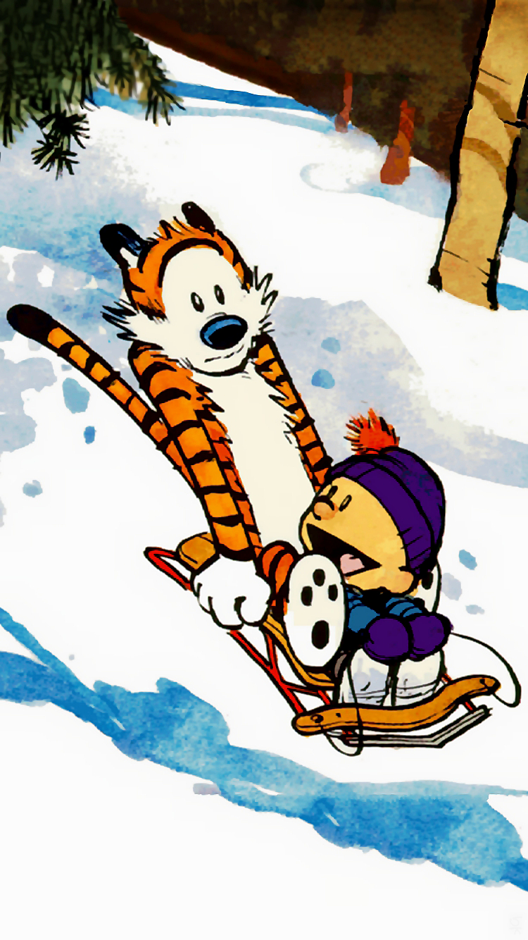 Calvin Hobbes 02.png
