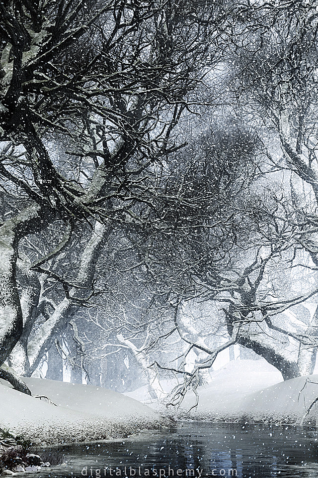 canopycreekwinter1640x960.jpg