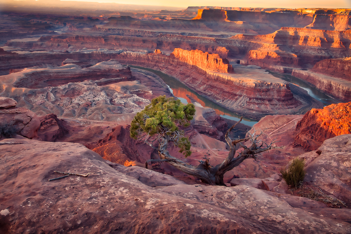 Canyonlands2535 _2012-02-18_07-18-22__MG_2771__2012-02-18_12029 9.38.20 AM.jpg