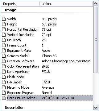 Captured-20100127·585.jpg