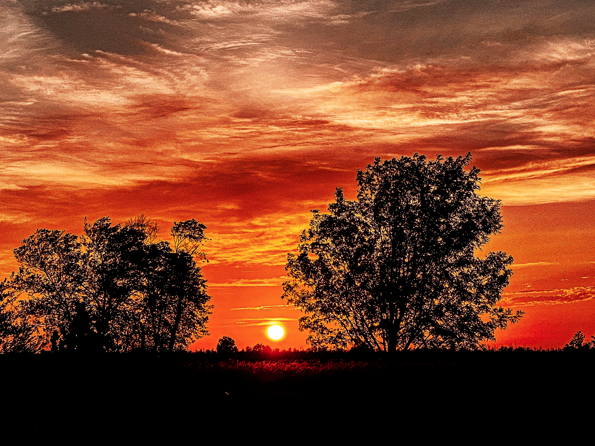 Caren's Sunset.png