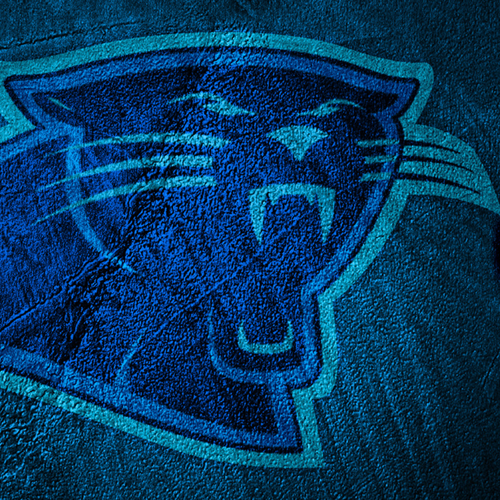 carolina-panthers-ipad-1024x1024.jpg
