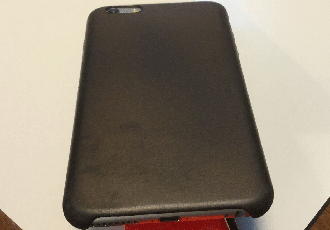 casepic1.gif