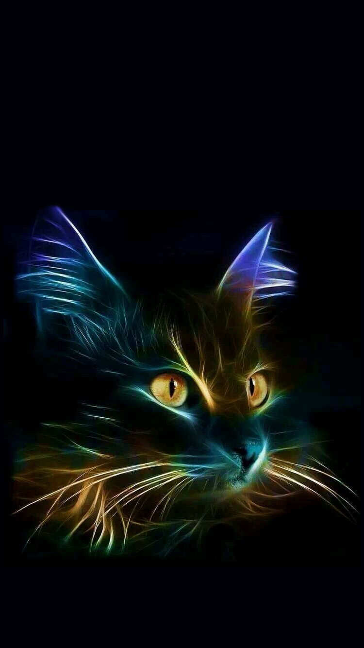 Cat 01.png