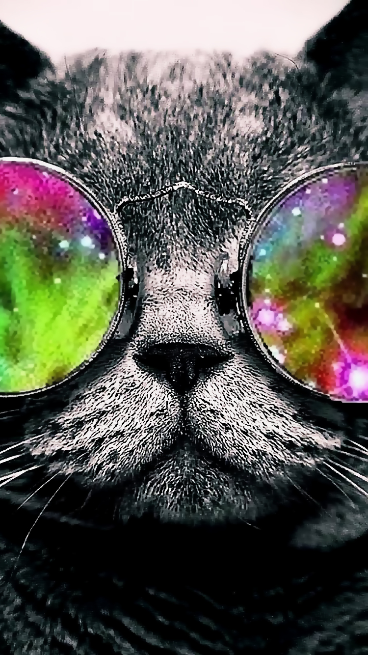 Cat 02.png
