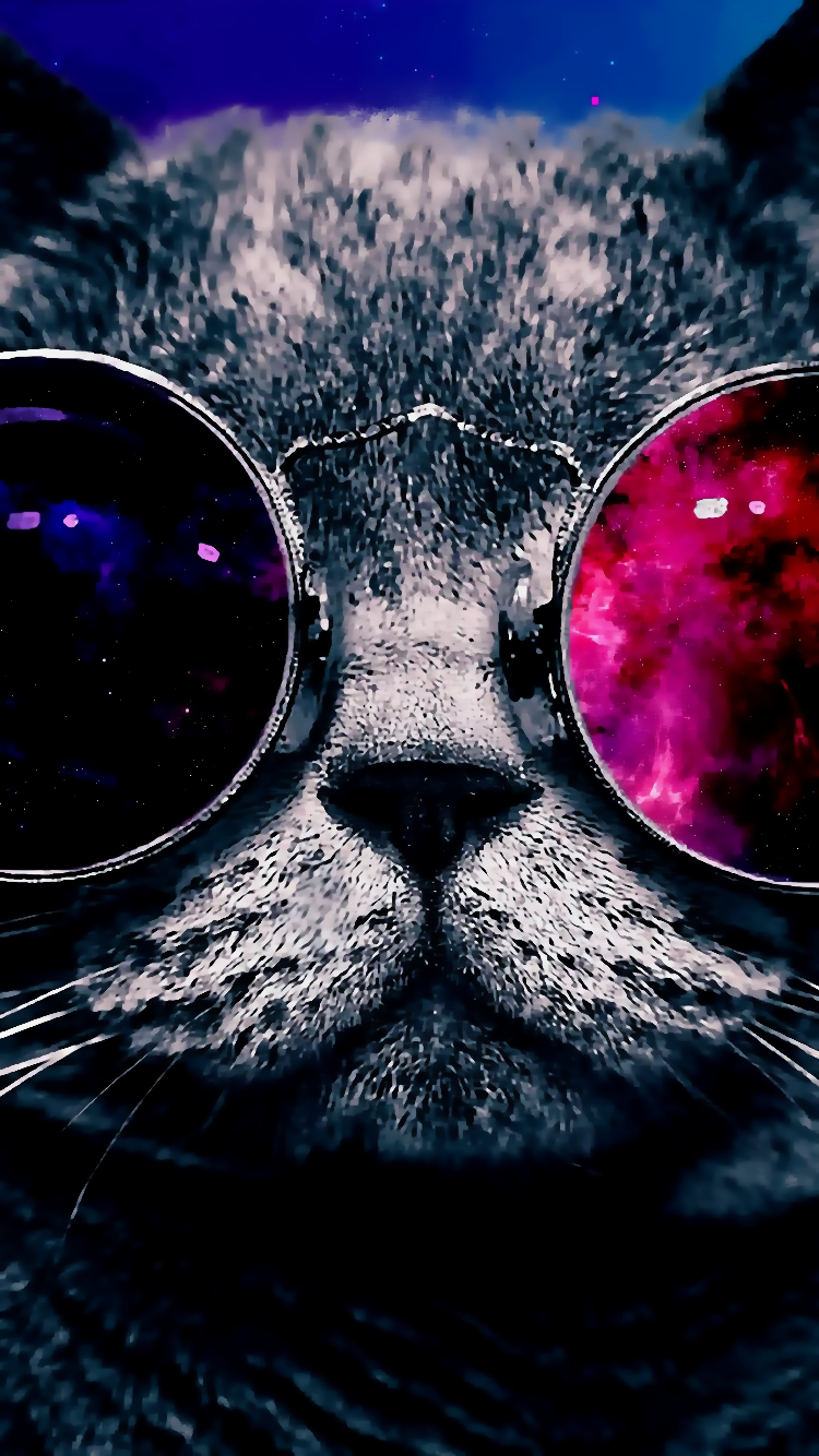 Cat 03.png