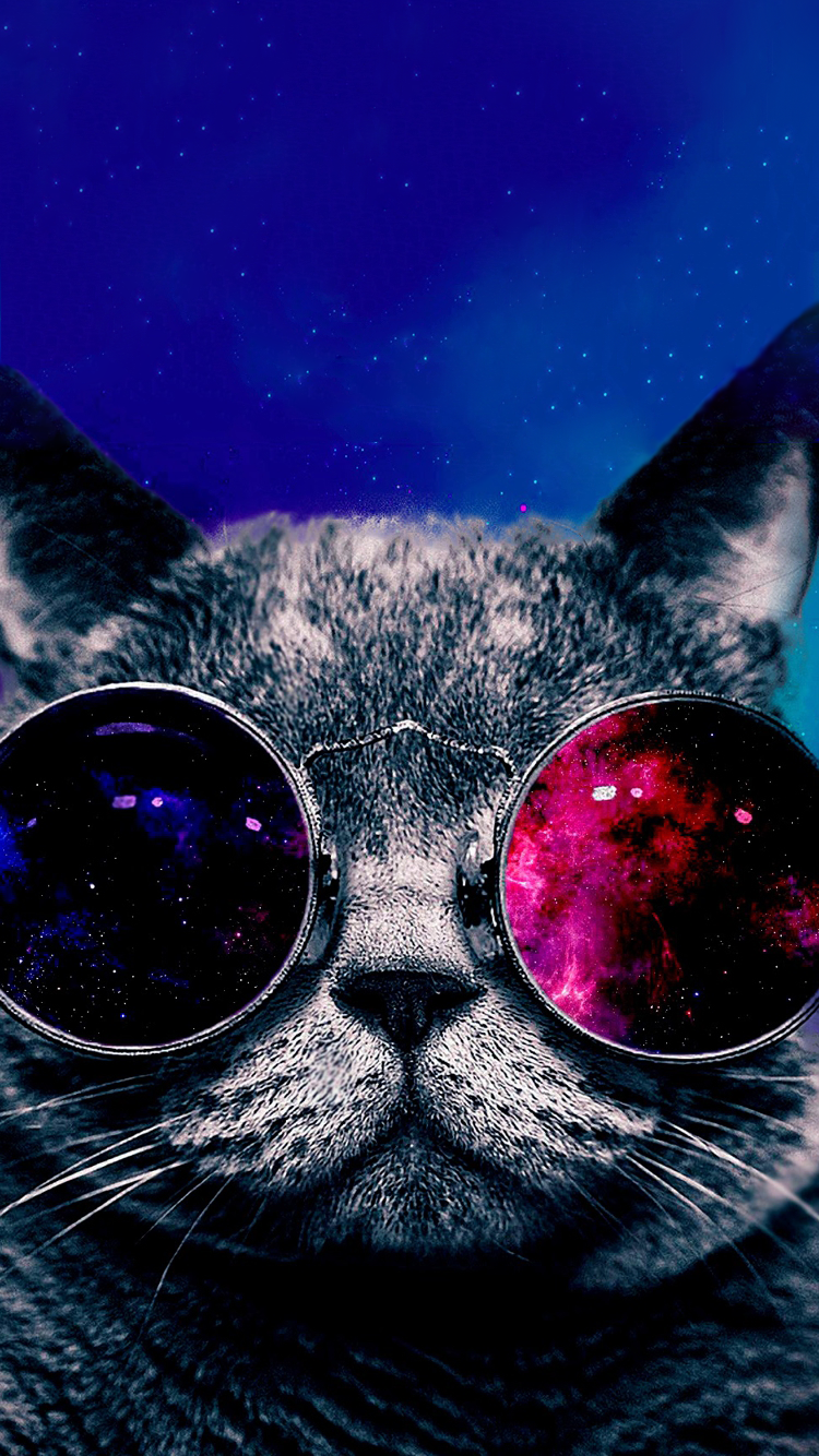 Cat 06.png