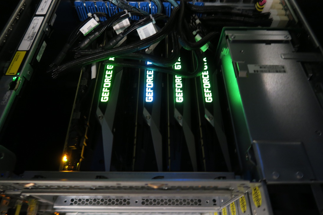 cat-1080ti.jpg