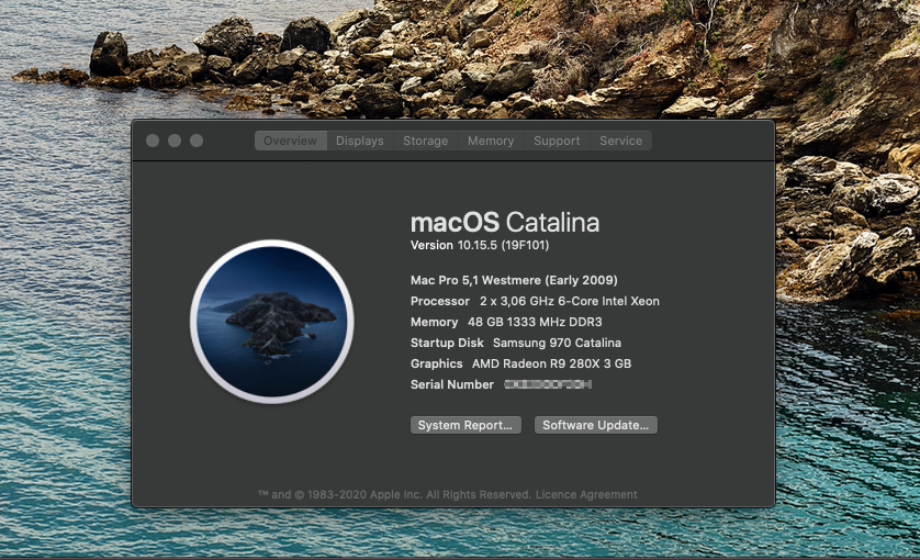 Cat 15.5 build 19F101.png
