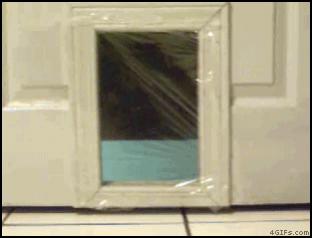 cat-door.jpg