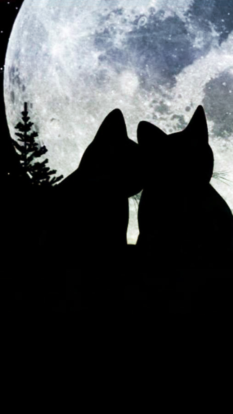 Cat Moon 01.jpg