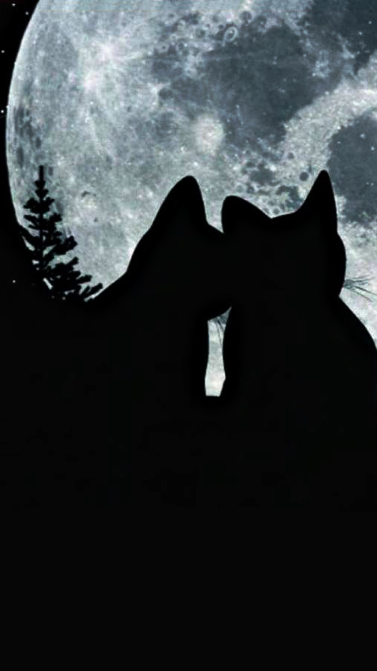 Cat Moon 02.jpg