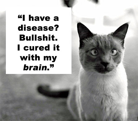 cat-sheen-13.jpg