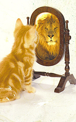 cat_lion.jpg
