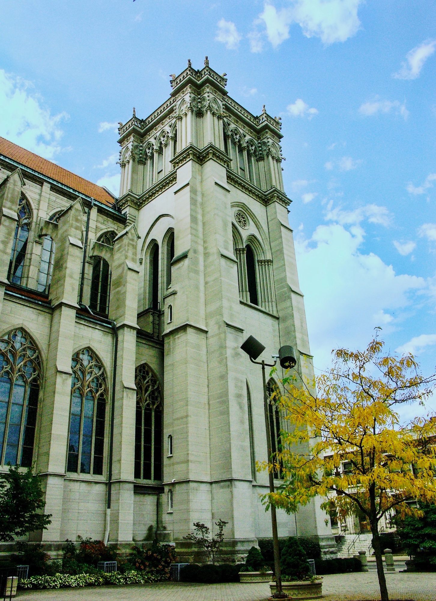 cathedral - 1.jpeg