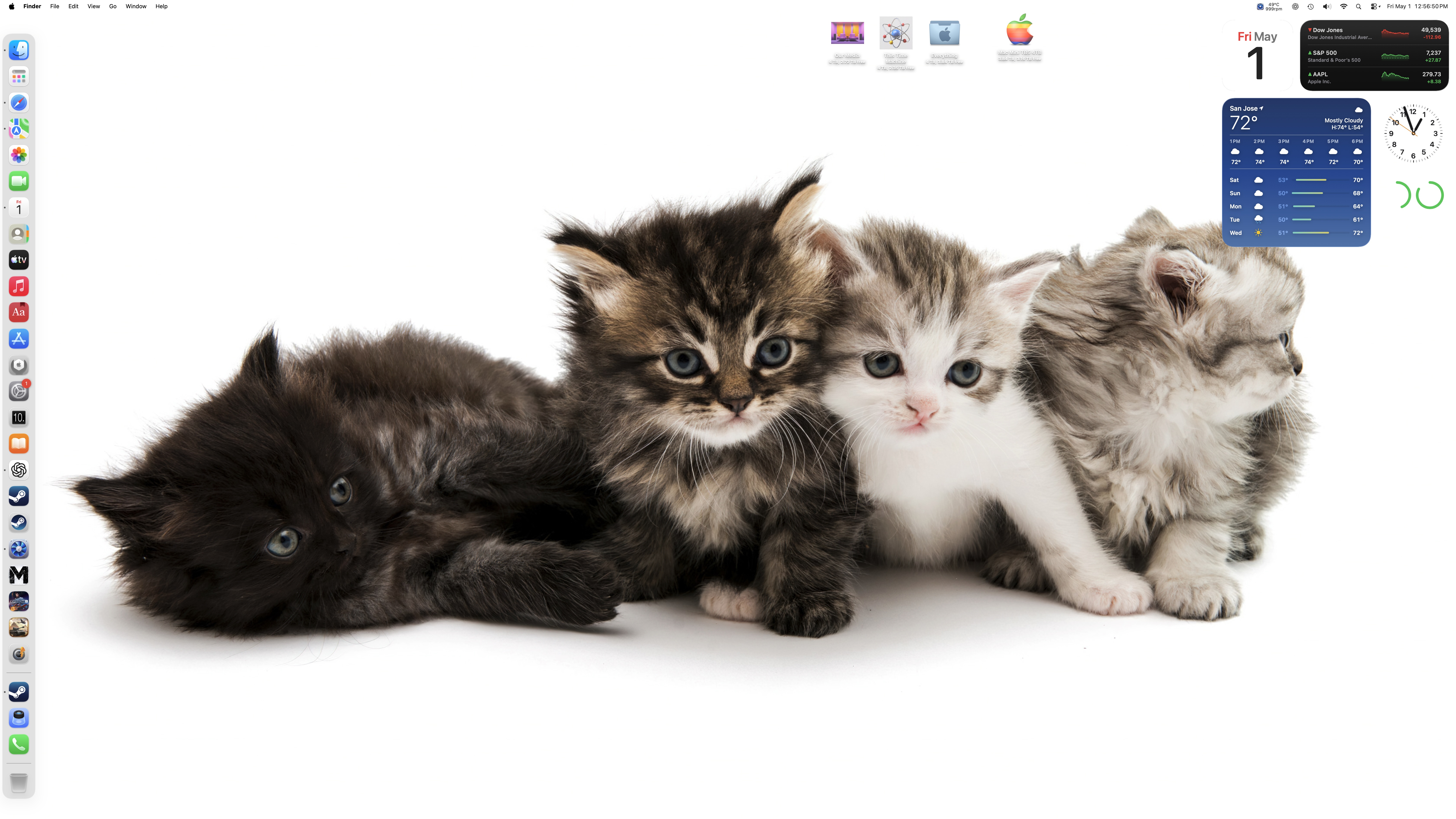 cats.jpg