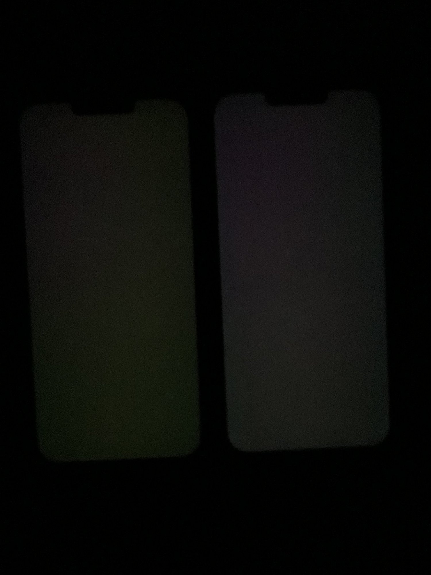 CCA07535-E038-4BA4-B649-B9DF917AE804.jpeg