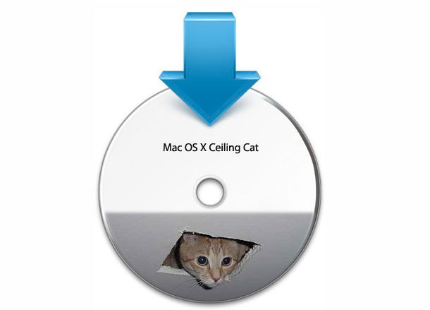 ceiling cat.png