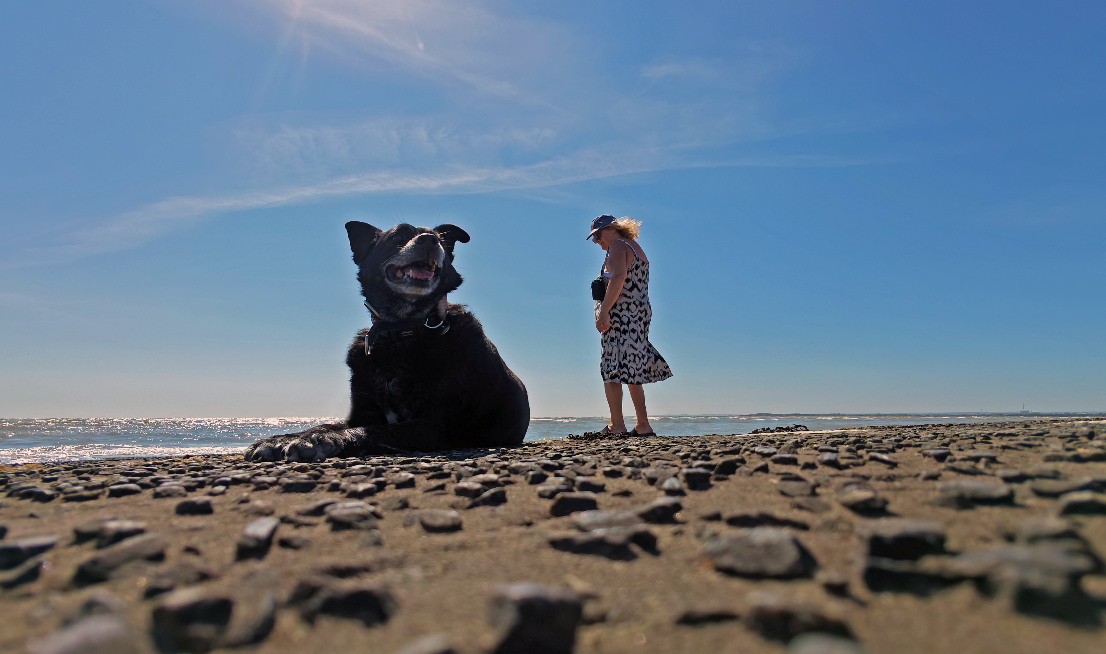 Challenging Perspective by Drone.JPG