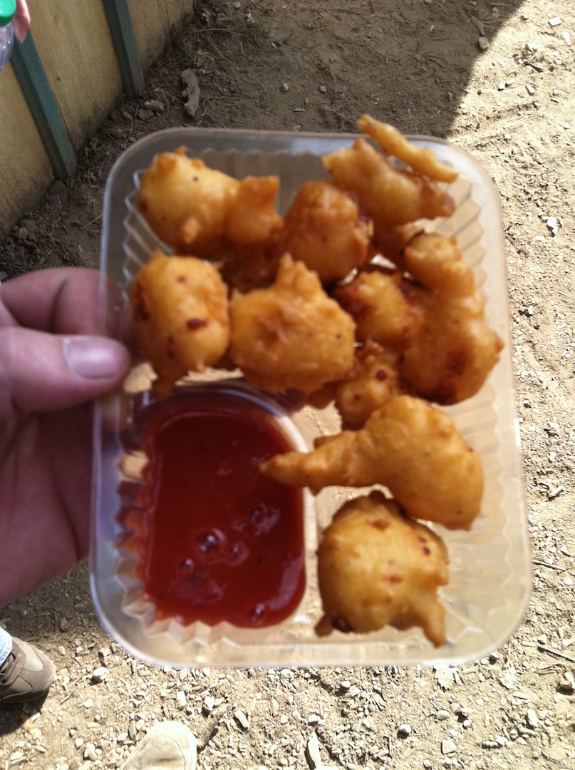 cheesecurds.JPG